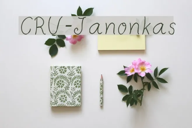 CRU-Janonkas Example 1