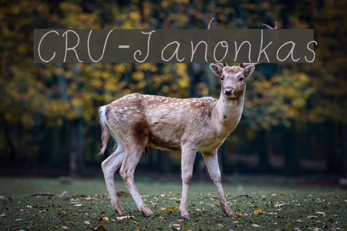 CRU-Janonkas Font examples