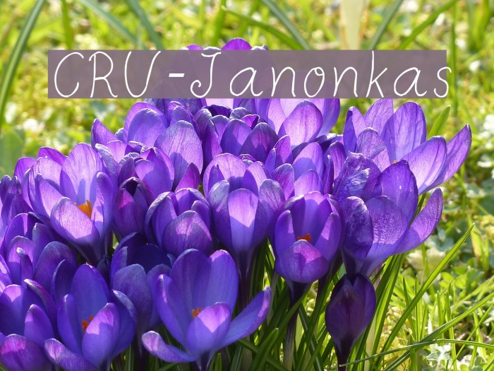 CRU-Janonkas Font examples