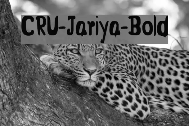 CRU-Jariya-Bold Font examples