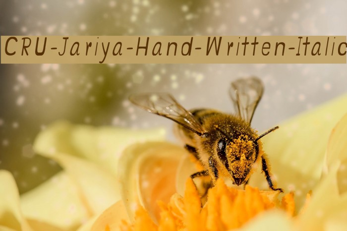CRU-Jariya-Hand-Written-Italic Schriftart examples