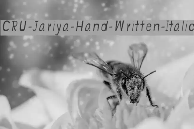 CRU-Jariya-Hand-Written-Italic Schriftart examples