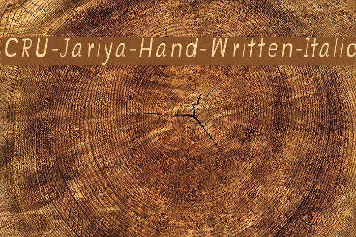 CRU-Jariya-Hand-Written-Italic Schriftart examples