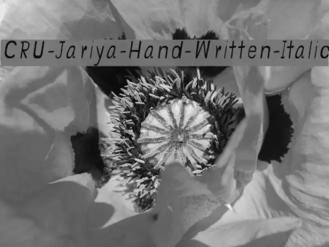 CRU-Jariya-Hand-Written-Italic Schriftart examples