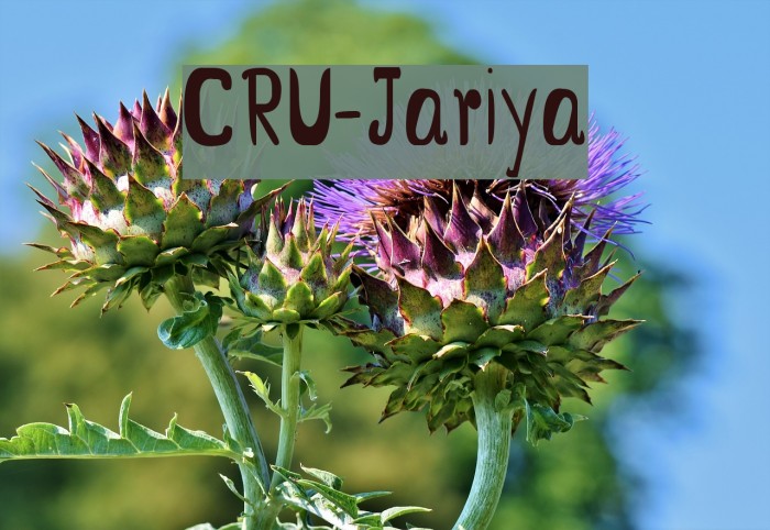 CRU-Jariya फ़ॉन्ट examples