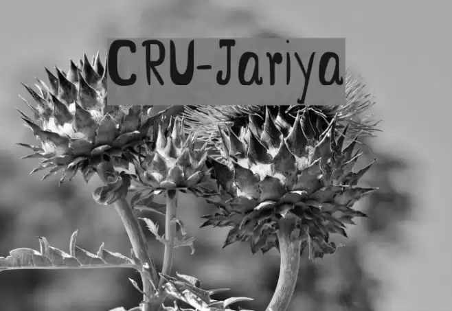 CRU-Jariya Font examples