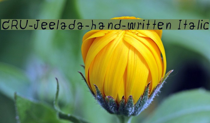 CRU-Jeelada-hand-written Italic Font examples