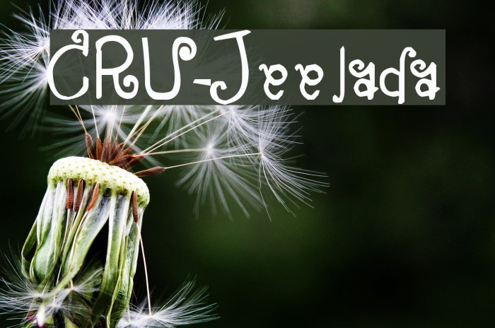 CRU-Jeelada Example 3