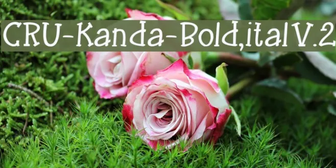 CRU-Kanda-Bold,ital V.2 Example 1