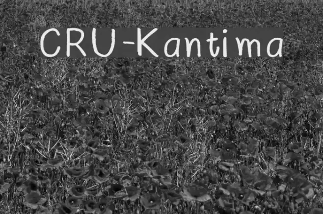 CRU-Kantima Font examples