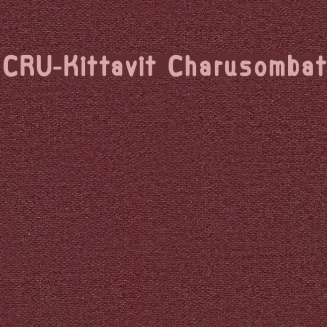 CRU-Kittavit Charusombat Example 3