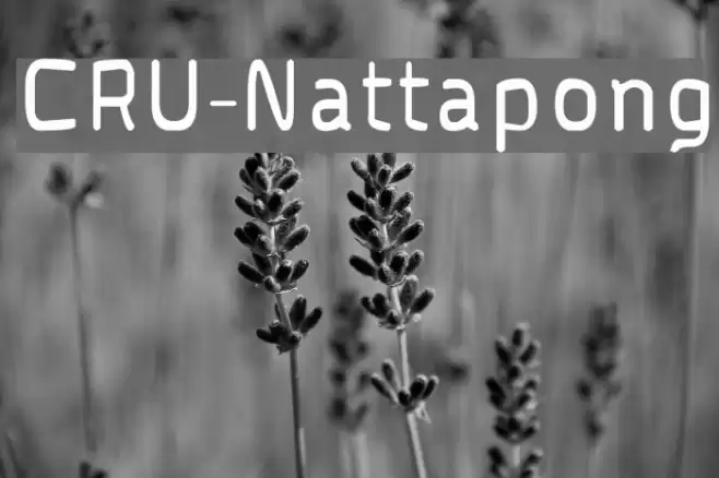 CRU-Nattapong Font examples
