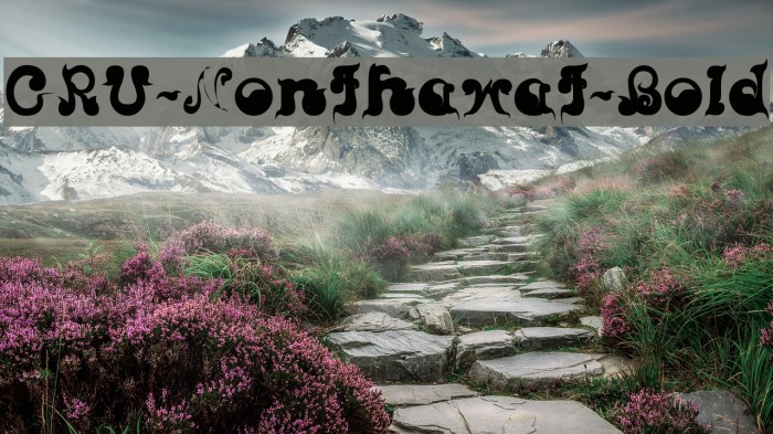 CRU-Nonthawat-Bold Font examples