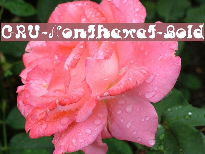 CRU-Nonthawat-Bold Font examples