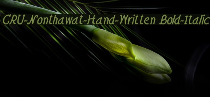 CRU-Nonthawat-Hand-Written Bold-Italic Font examples