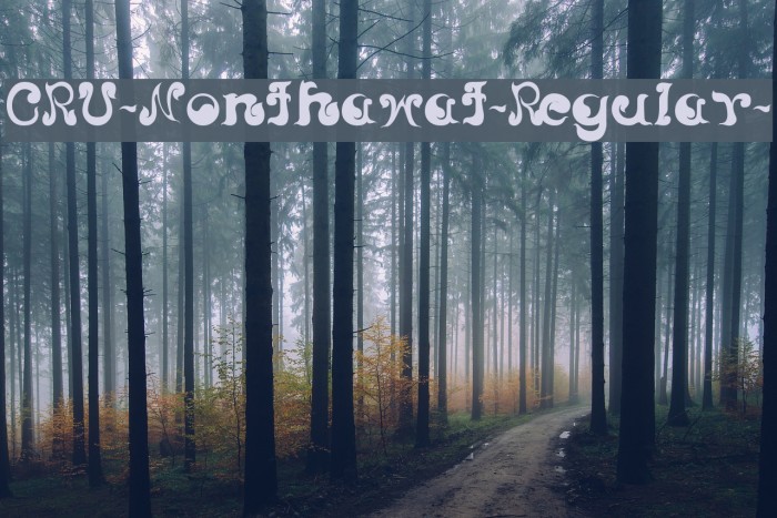 CRU-Nonthawat-Regular- Example 3