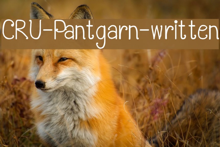 CRU-Pantgarn-written Font examples