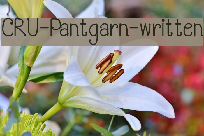 CRU-Pantgarn-written Font examples