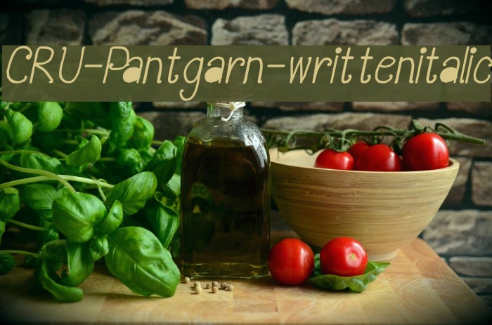 CRU-Pantgarn-writtenitalic Font examples