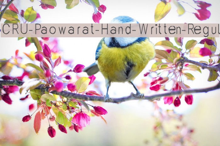 CRU-Paowarat-Hand-Written-Regul Font examples