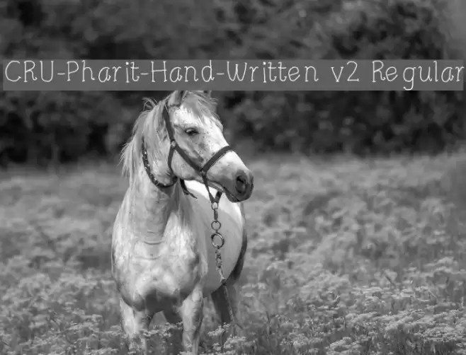 CRU-Pharit-Hand-Written v2 Regular Font examples