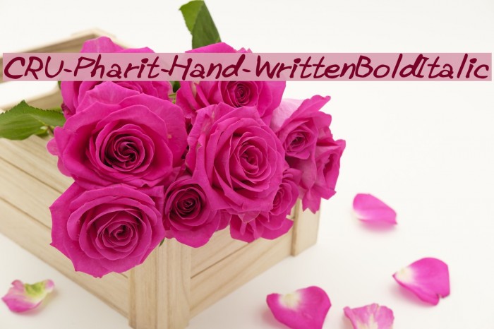 CRU-Pharit-Hand-WrittenBoldItalic Font examples