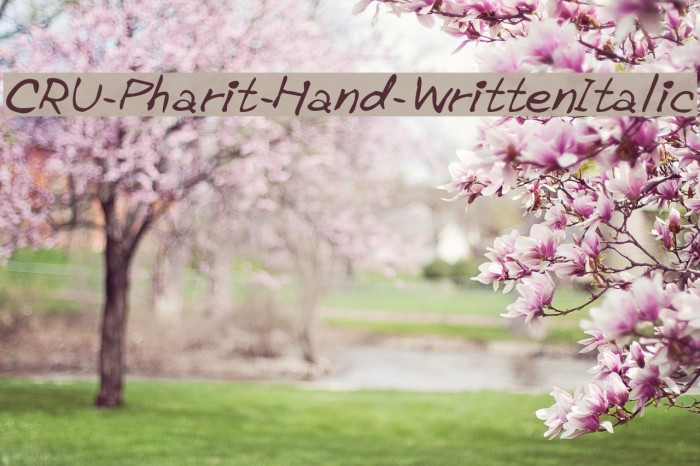 CRU-Pharit-Hand-WrittenItalic Example 1