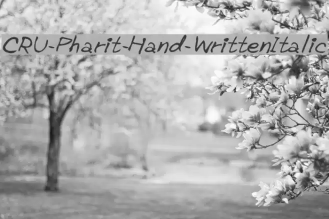 CRU-Pharit-Hand-WrittenItalic Font examples