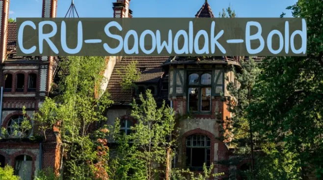 CRU-Saowalak-Bold Example 2
