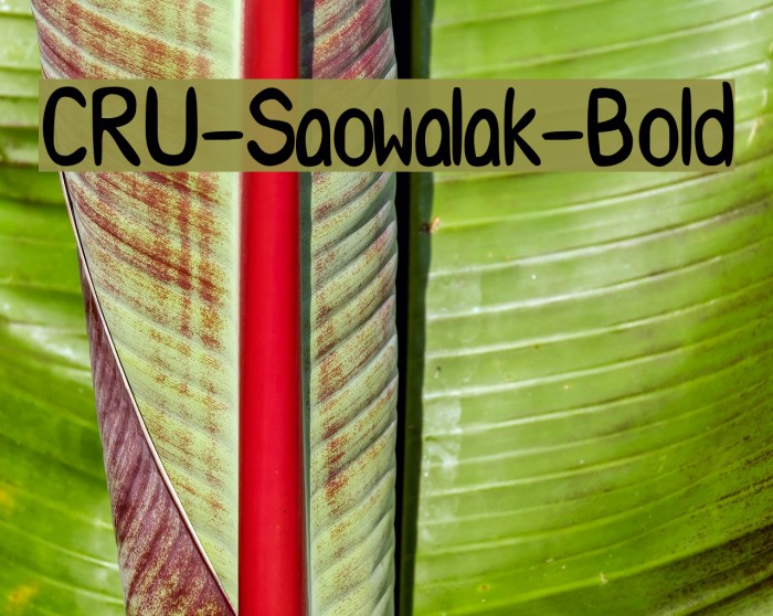 CRU-Saowalak-Bold Font examples