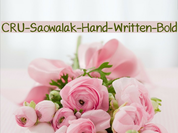 CRU-Saowalak-Hand-Written-Bold Font examples