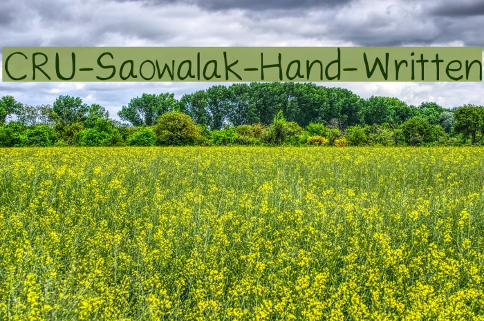 CRU-Saowalak-Hand-Written Font examples