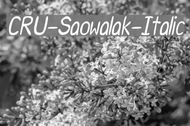 CRU-Saowalak-Italic Font examples