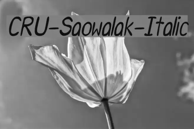 CRU-Saowalak-Italic Font examples