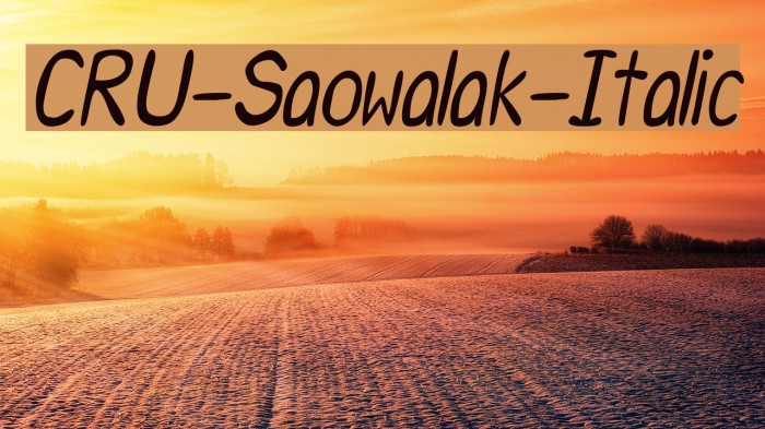CRU-Saowalak-Italic Font examples
