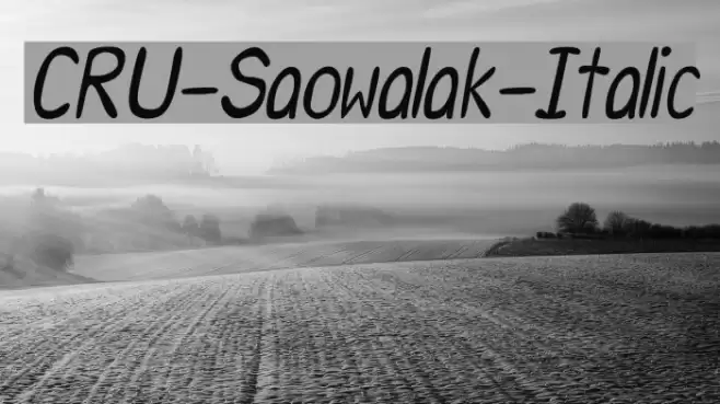 CRU-Saowalak-Italic Font examples