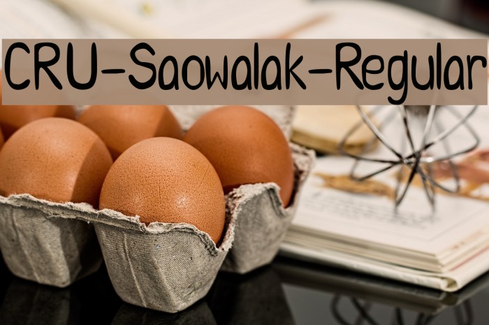 CRU-Saowalak-Regular Font examples