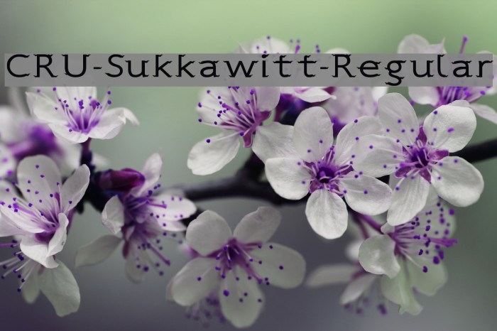CRU-Sukkawitt-Regular Font examples