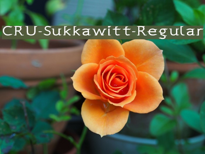 CRU-Sukkawitt-Regular Font examples