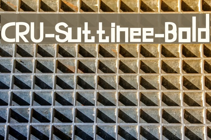 CRU-Suttinee-Bold Font examples