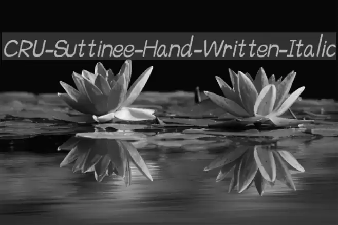 CRU-Suttinee-Hand-Written-Italic Font examples