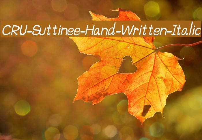 CRU-Suttinee-Hand-Written-Italic Font examples