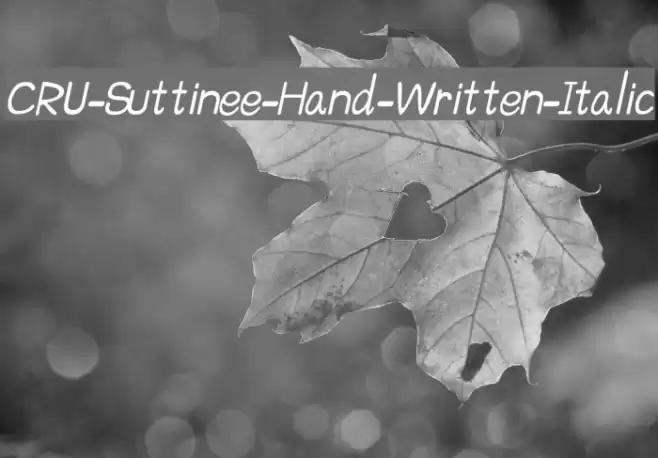 CRU-Suttinee-Hand-Written-Italic Font examples
