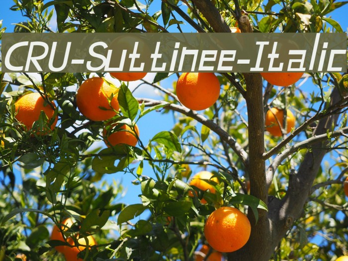 CRU-Suttinee-Italic Fuentes examples