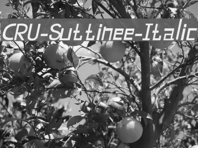 CRU-Suttinee-Italic Fuentes examples