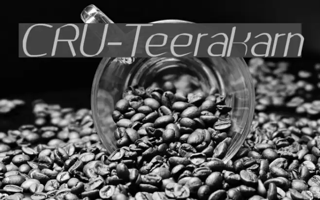 CRU-Teerakarn Font examples
