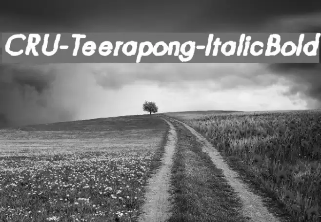 CRU-Teerapong-ItalicBold Font examples