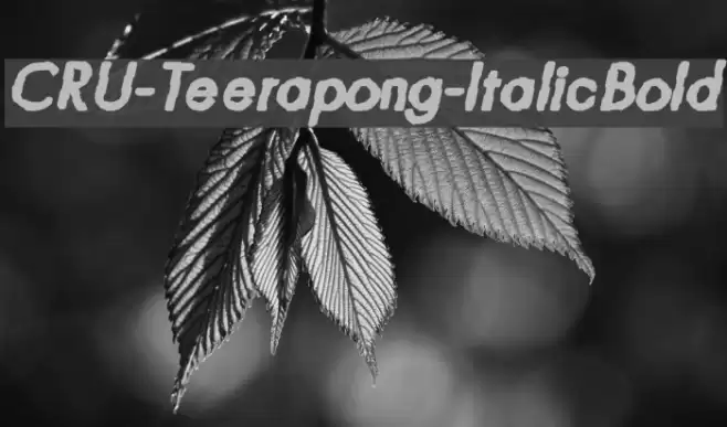 CRU-Teerapong-ItalicBold Font examples