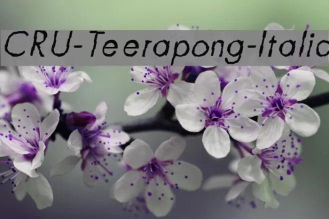 CRU-Teerapong-Italic Example 1