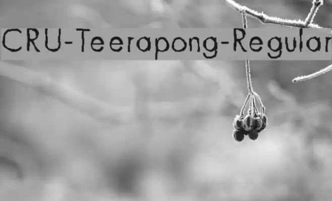CRU-Teerapong-Regular Font examples